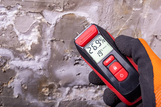 Best Mold Remediation Experts  in Columbus, TX
