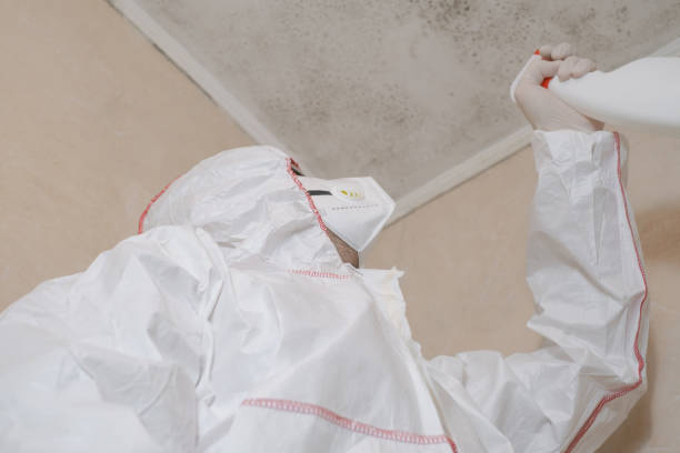 Professional Mold Removal in Columbus, TX
