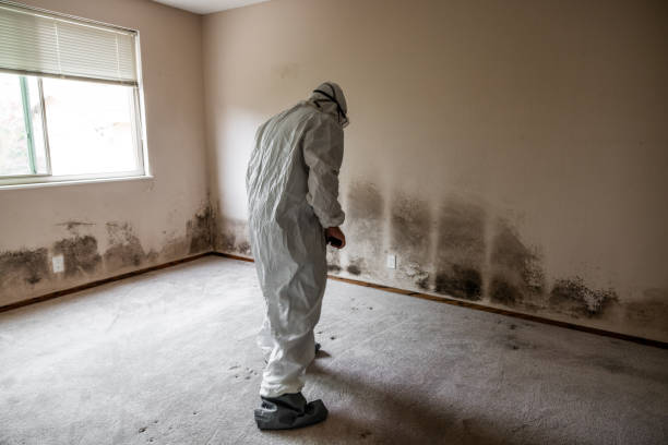 Best Home Mold Removal  in Columbus, TX