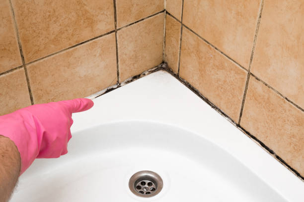 Best Emergency Mold Removal  in Columbus, TX